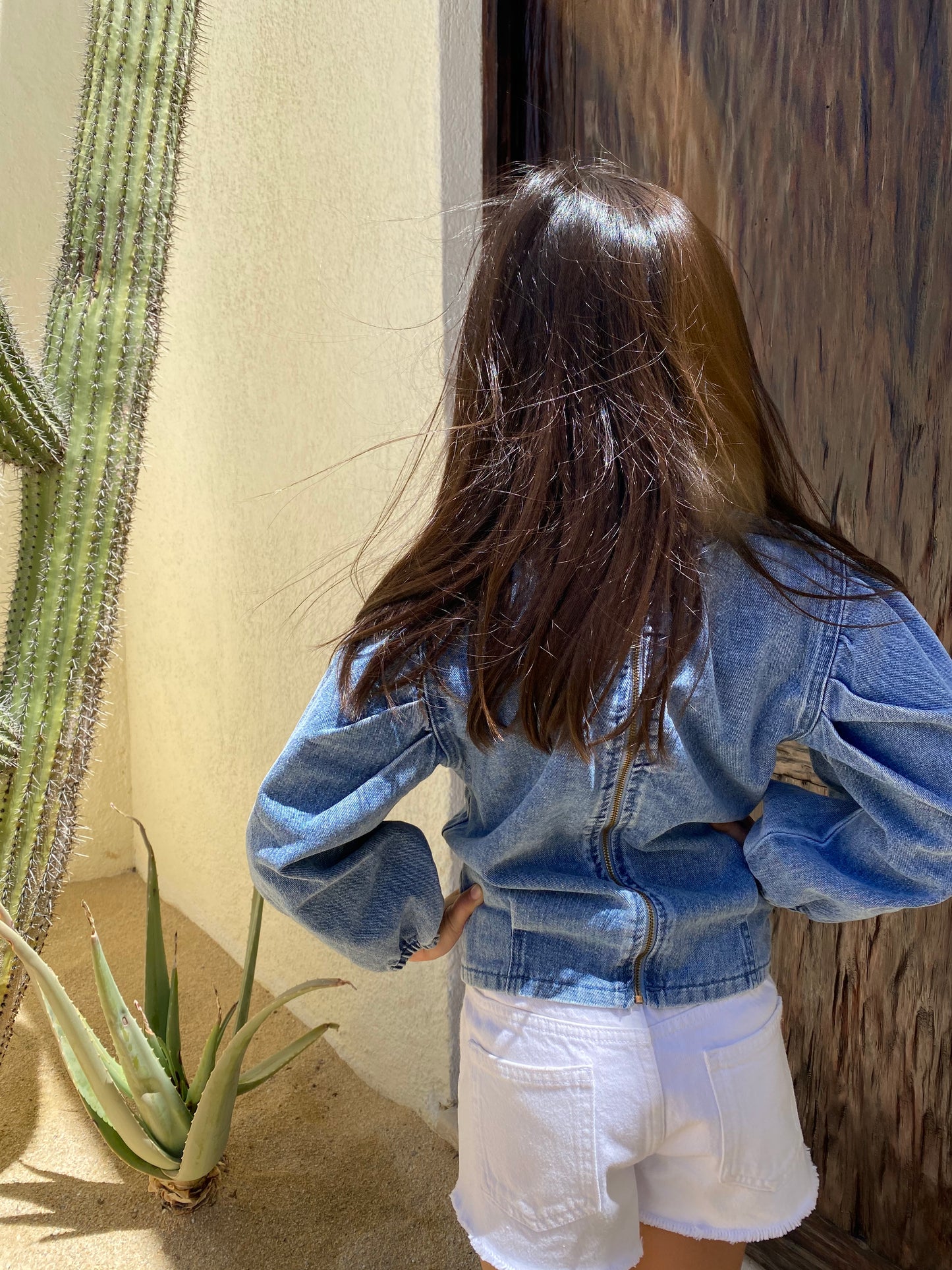 Ava Denim puff sleeve Top - Ally Pop