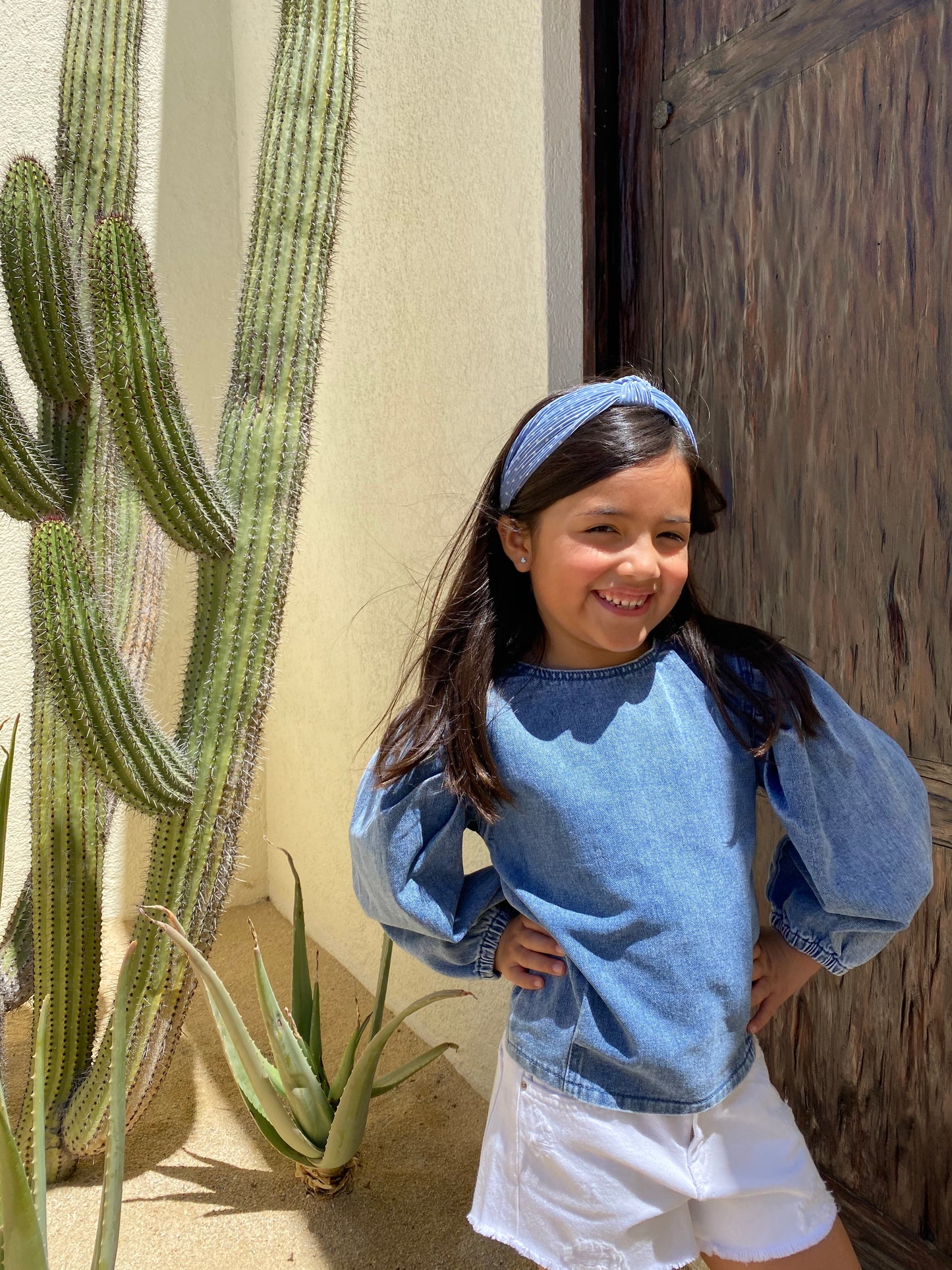 Ava Denim puff sleeve Top - Ally Pop